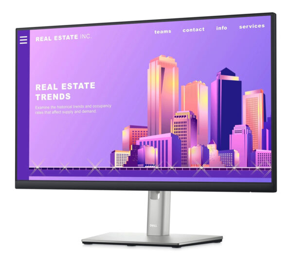 DELL used οθόνη P2422H IPS-LED